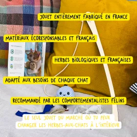 Le pack canne à chat Poulpo 2
