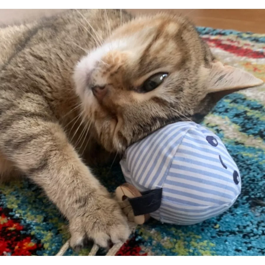 Le doudou pour chat Poulpo, l'indispensable | Petits Fripons