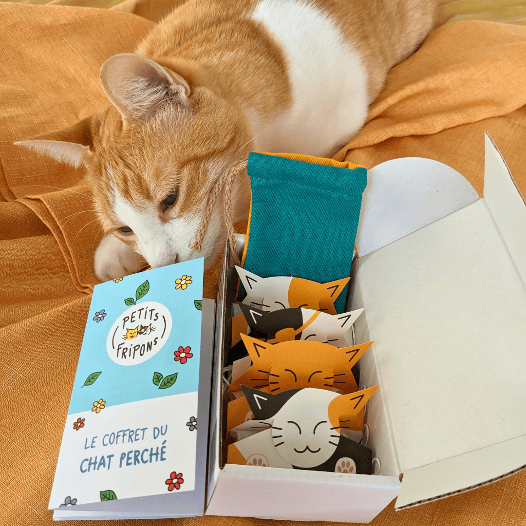Coffret du Chat Perché - 4 herbes à chat - Petits Fripons