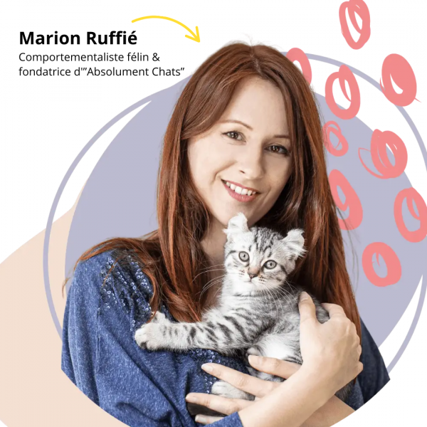 Bien-être du chat : quels jouets et herbes à chat choisir ? Conseils d'une comportementaliste félin