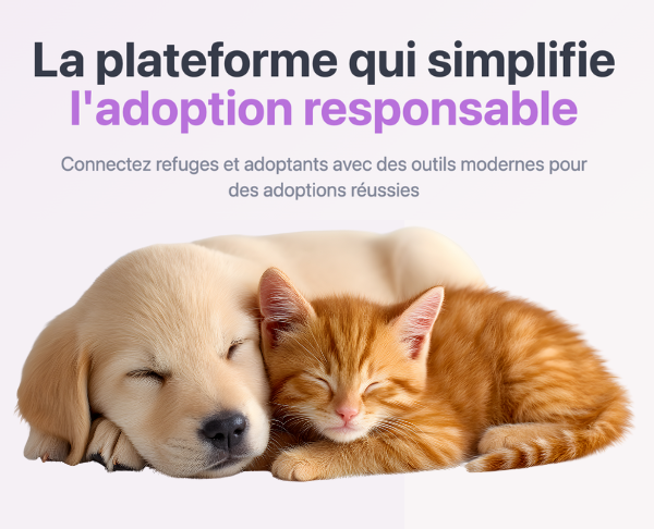 Petits Fripons lance Safe Adopt, une web app solidaire, et rejoint Paris&Co