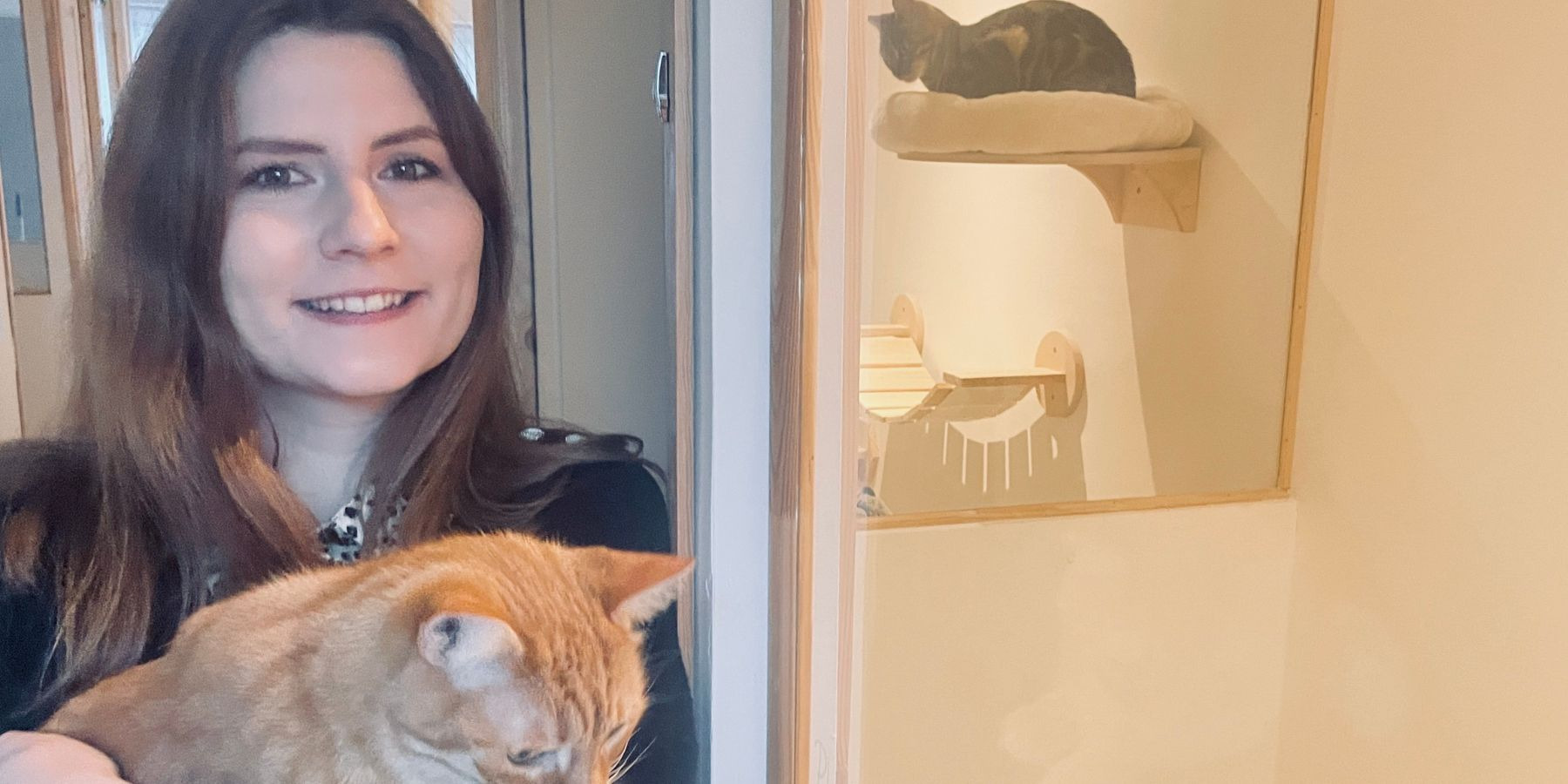 Bienveillance et bien-traitance, découvrez l'univers de la pension pour chats Boule de poils & Cie